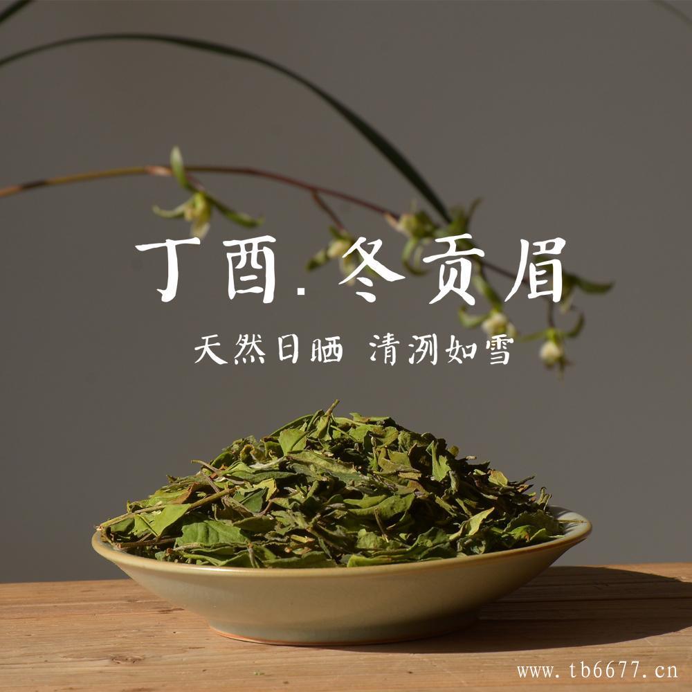 女性喝福鼎白茶的好处